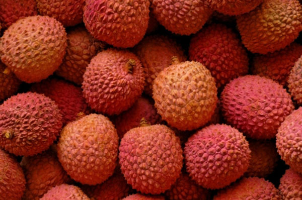 litchis