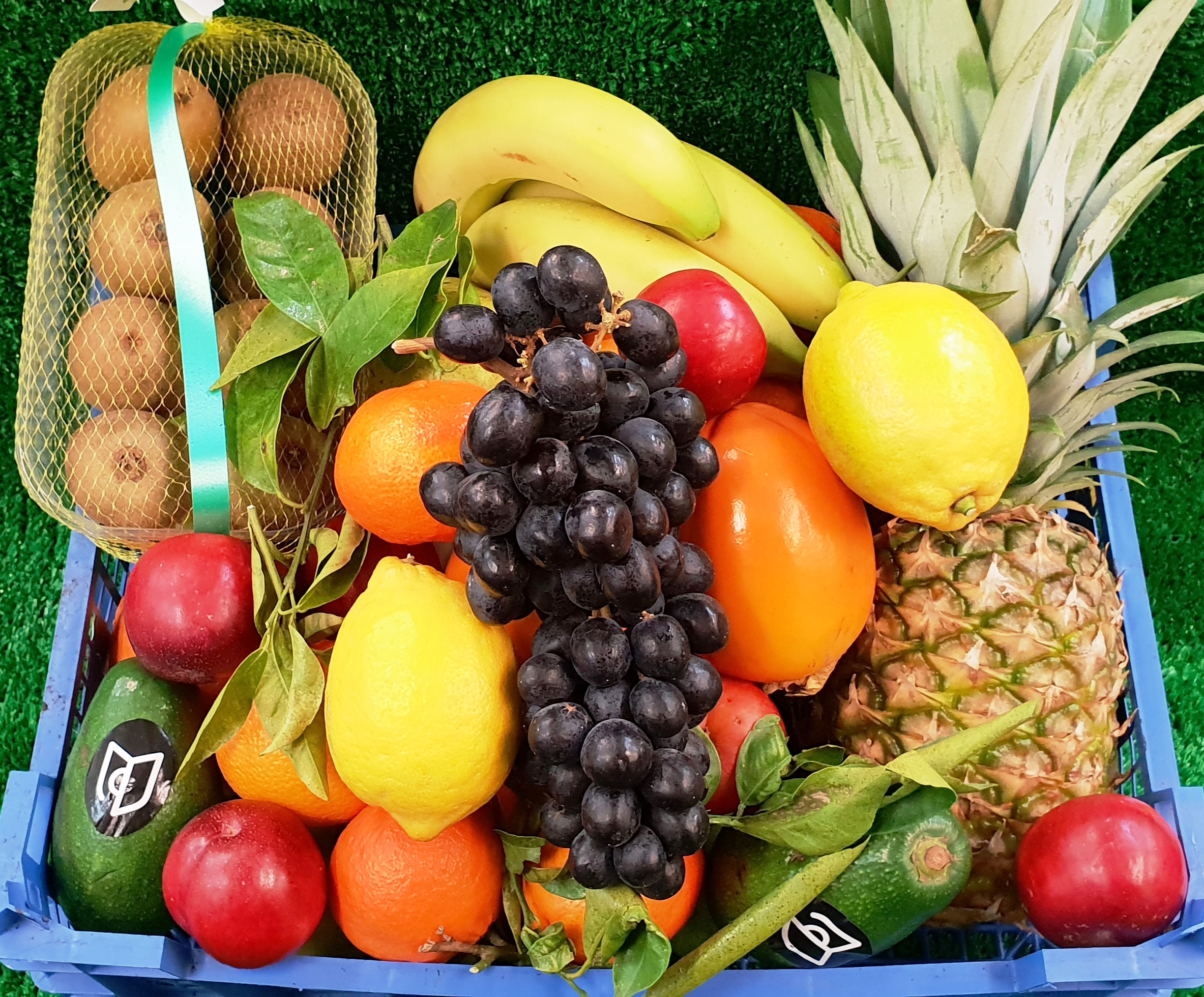 panier fruits